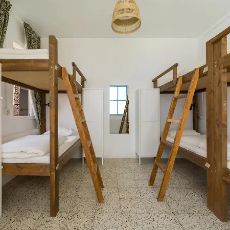 Albergue Jungle House *