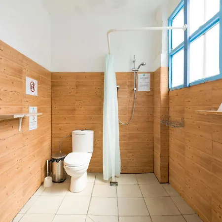Albergue Jungle House *