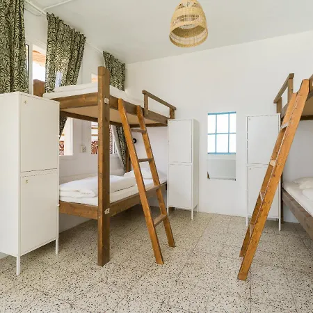 Albergue Jungle House *