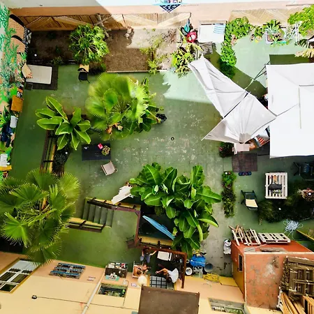 Jungle House Albergue