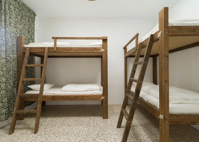 Jungle House Hostel Las Palmas de Gran Canaria