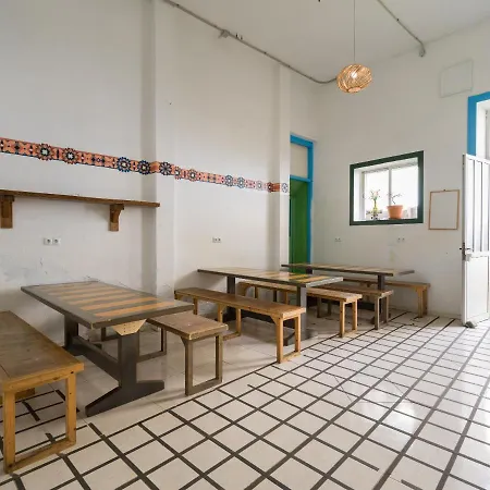 Jungle House Лас-Пальмас-де-Гран-Канария