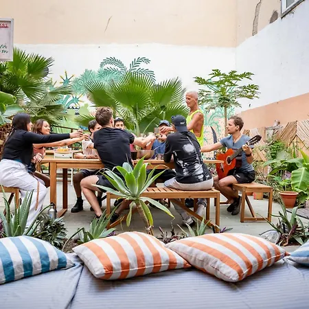 Jungle House Хостел