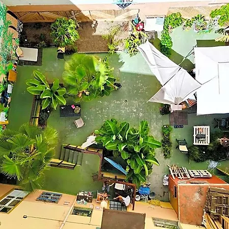 Jungle House Las Palmas de Gran Canaria