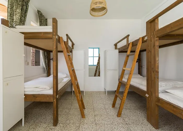 호스텔 Jungle House *