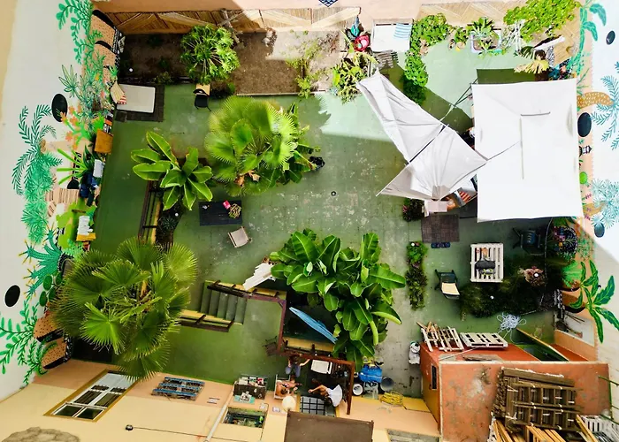 Jungle House Vandrarhem