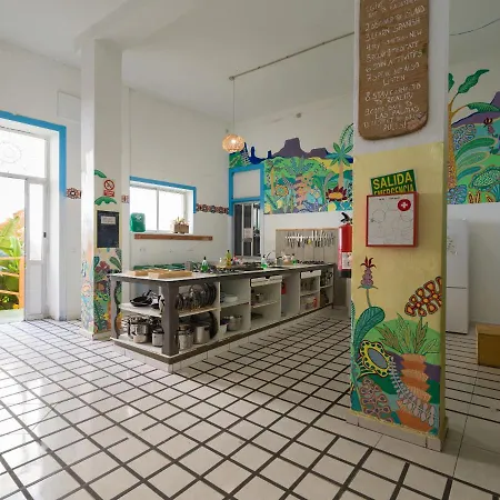 Jungle House
