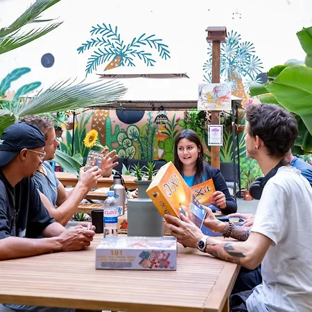 بيت شباب Jungle House