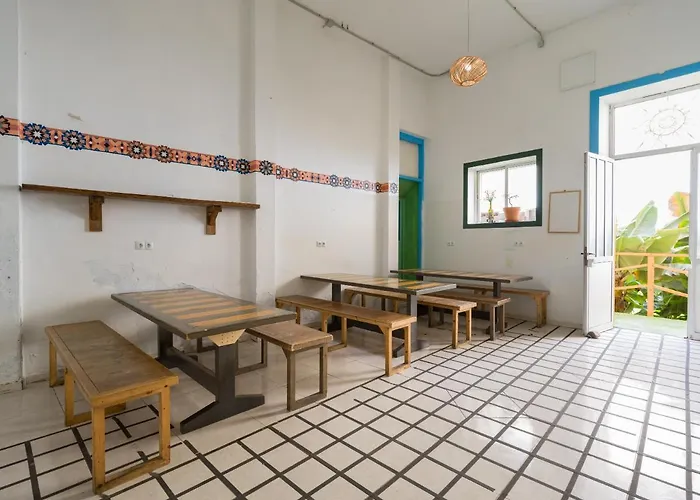 Jungle House لاس بالماس دي غران كاناريا